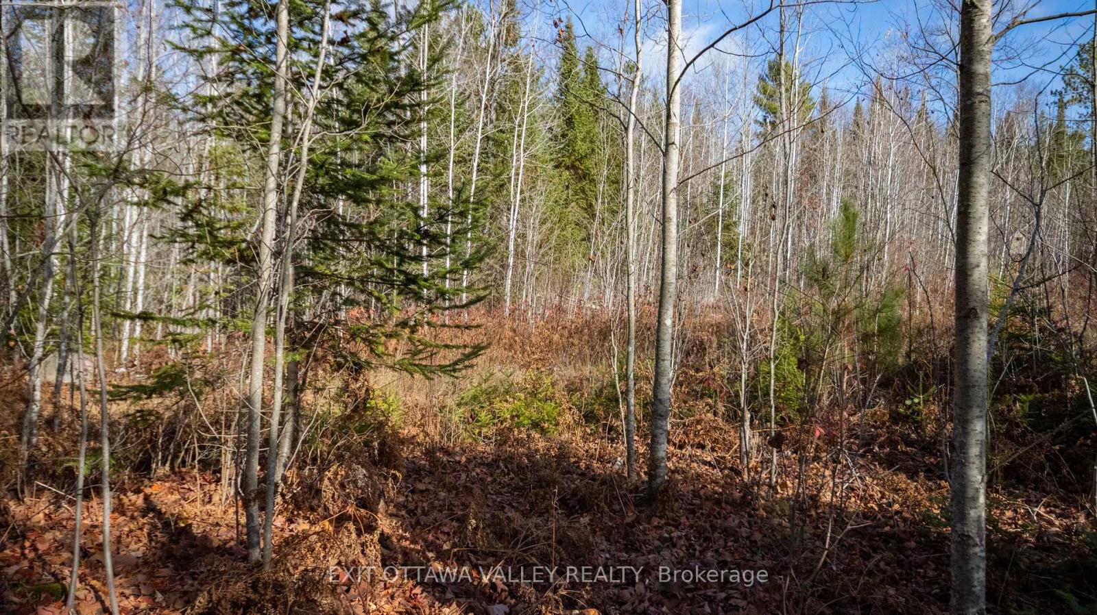00 Highway 60 Highway, Madawaska Valley, Ontario  K0J 1B0 - Photo 19 - X12501452
