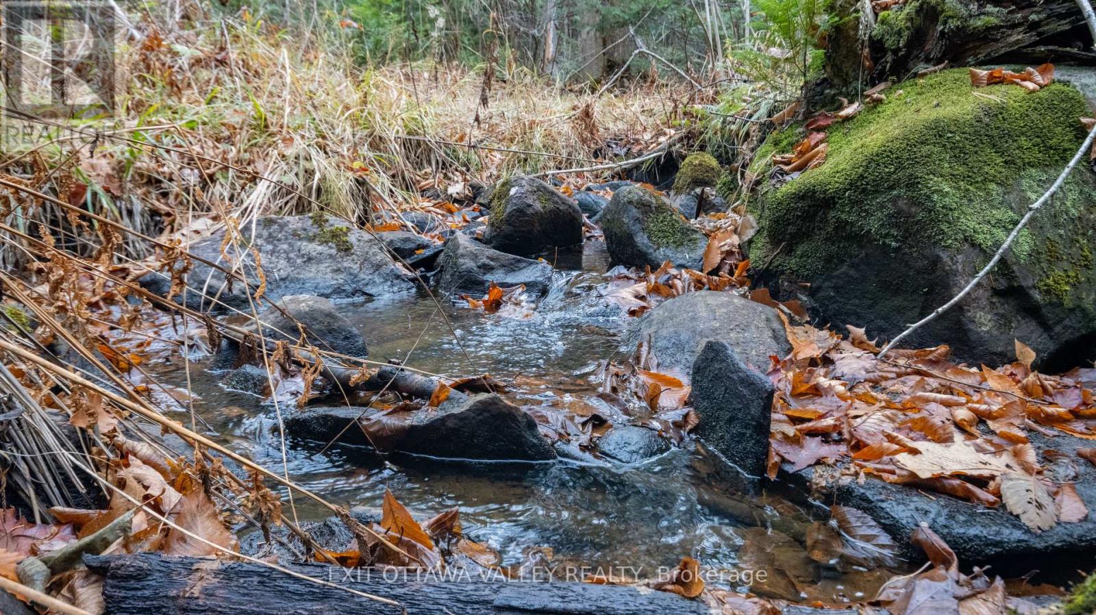 00 Highway 60 Highway, Madawaska Valley, Ontario  K0J 1B0 - Photo 2 - X12501452