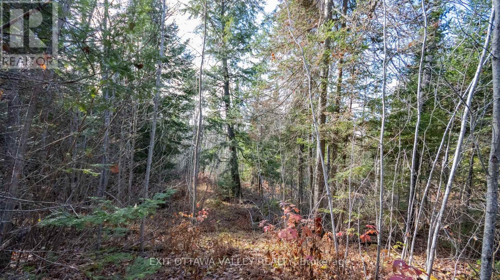 00 Highway 60 Highway, Madawaska Valley, Ontario  K0J 1B0 - Photo 20 - X12501452