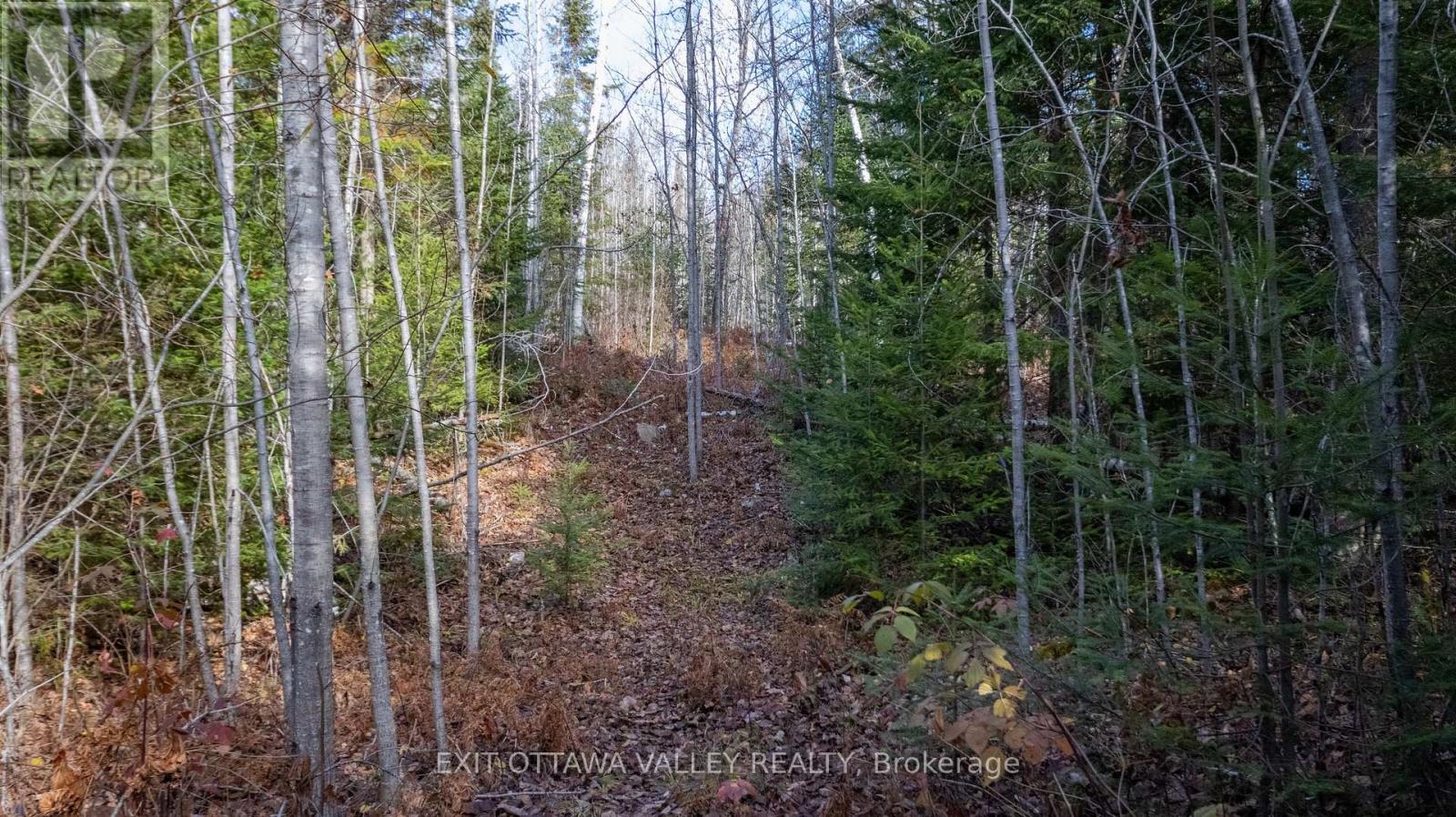 00 Highway 60 Highway, Madawaska Valley, Ontario  K0J 1B0 - Photo 21 - X12501452