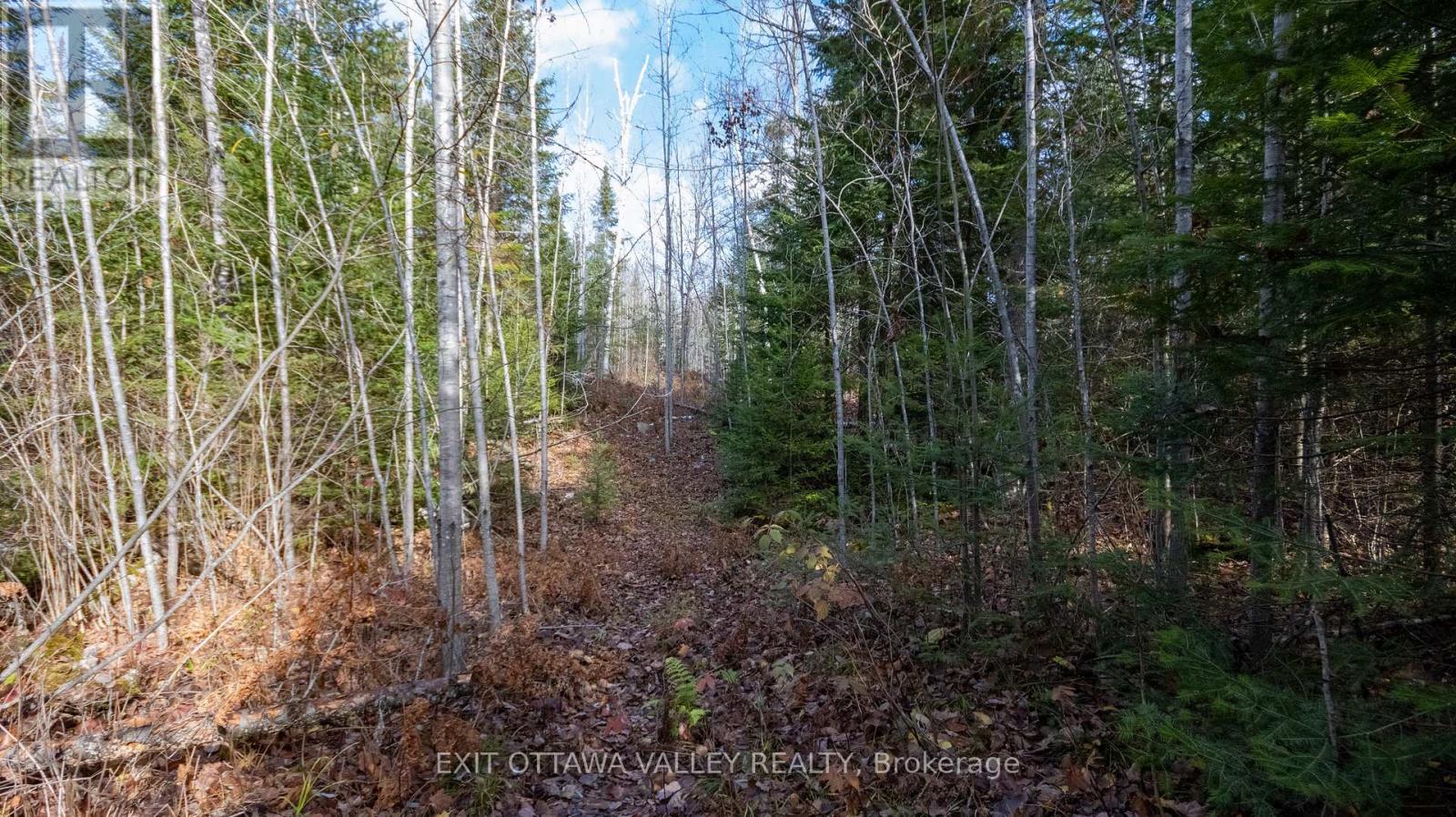 00 Highway 60 Highway, Madawaska Valley, Ontario  K0J 1B0 - Photo 22 - X12501452
