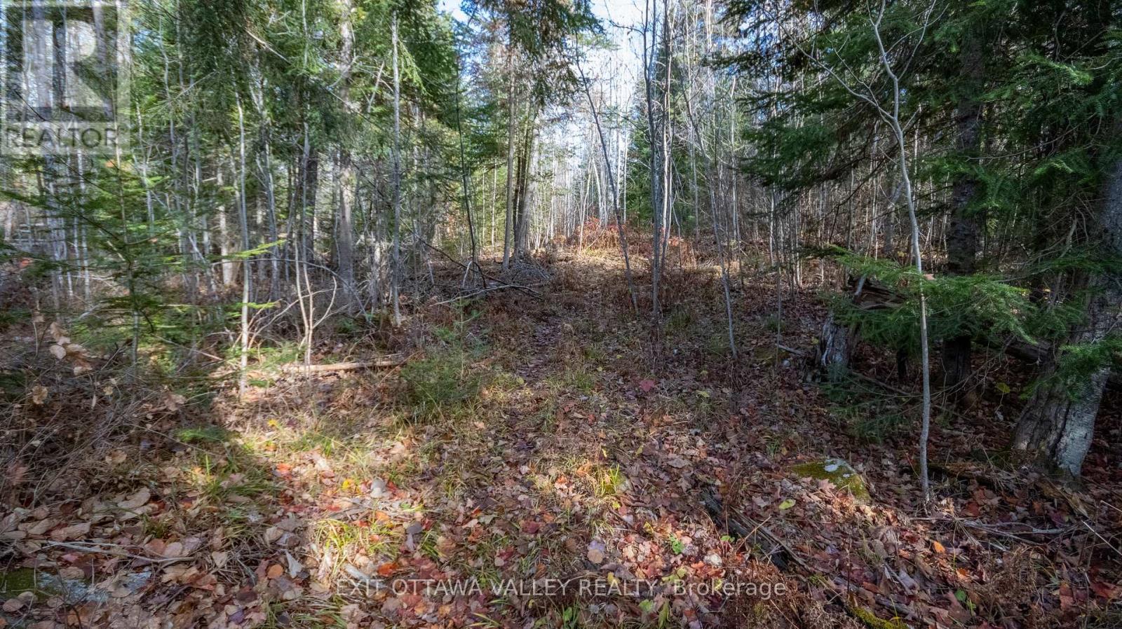 00 Highway 60 Highway, Madawaska Valley, Ontario  K0J 1B0 - Photo 23 - X12501452