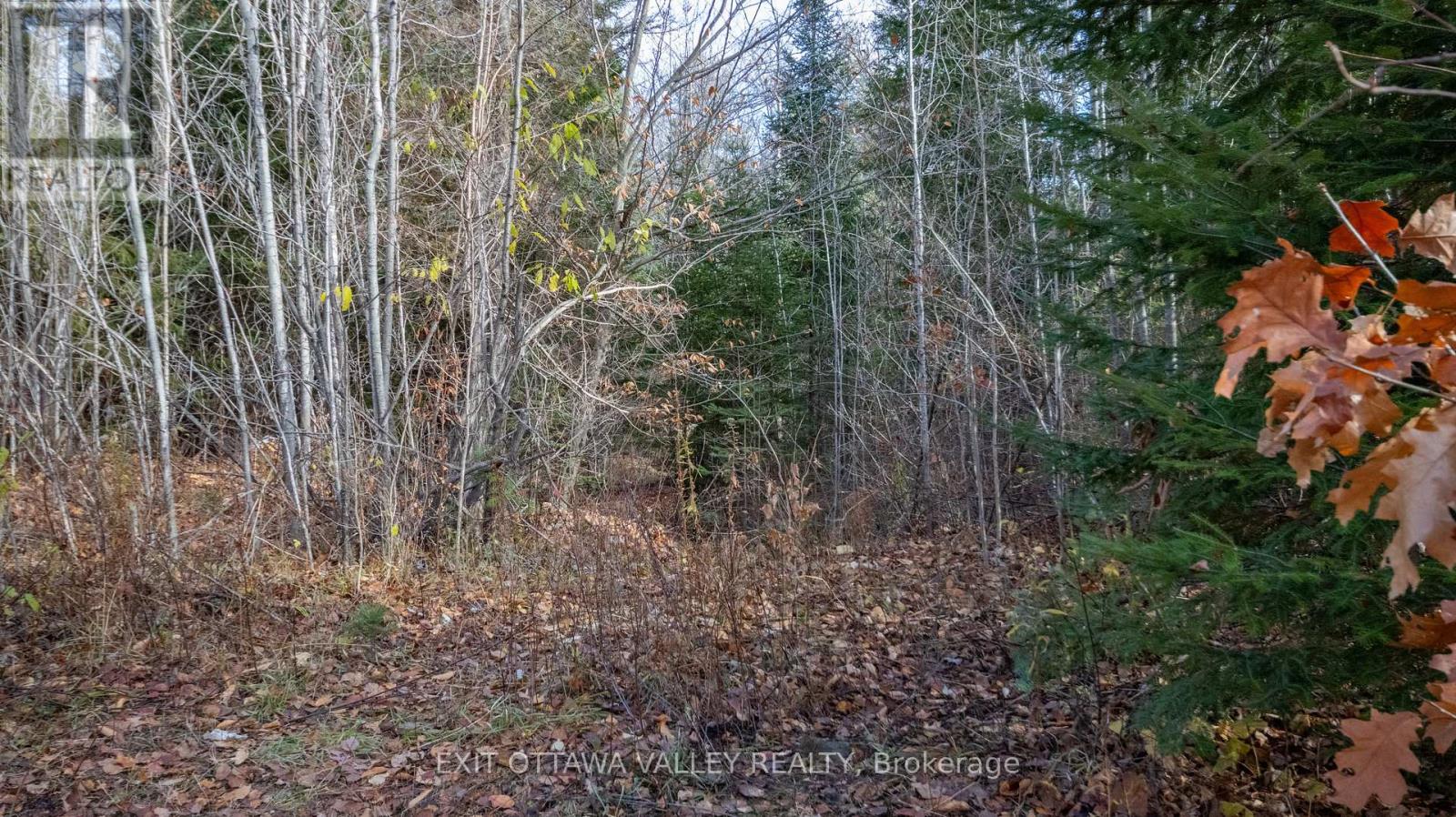 00 Highway 60 Highway, Madawaska Valley, Ontario  K0J 1B0 - Photo 24 - X12501452