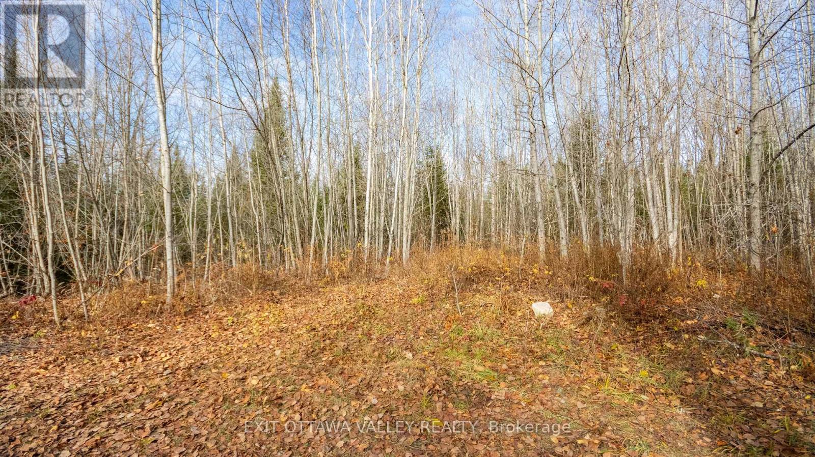00 Highway 60 Highway, Madawaska Valley, Ontario  K0J 1B0 - Photo 26 - X12501452