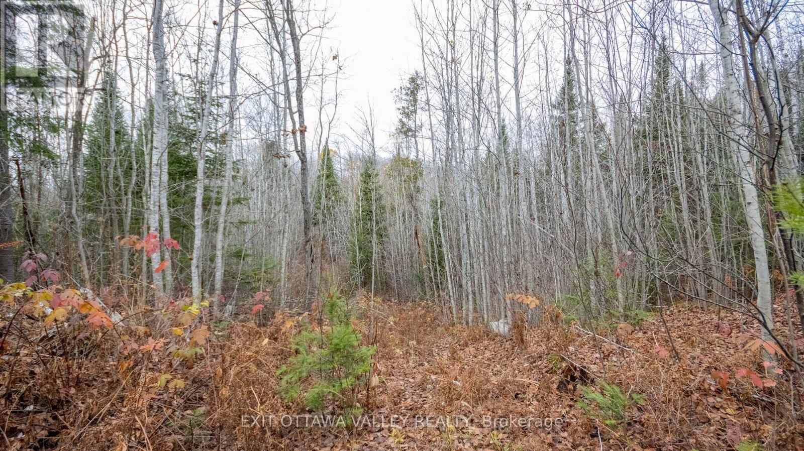 00 Highway 60 Highway, Madawaska Valley, Ontario  K0J 1B0 - Photo 27 - X12501452