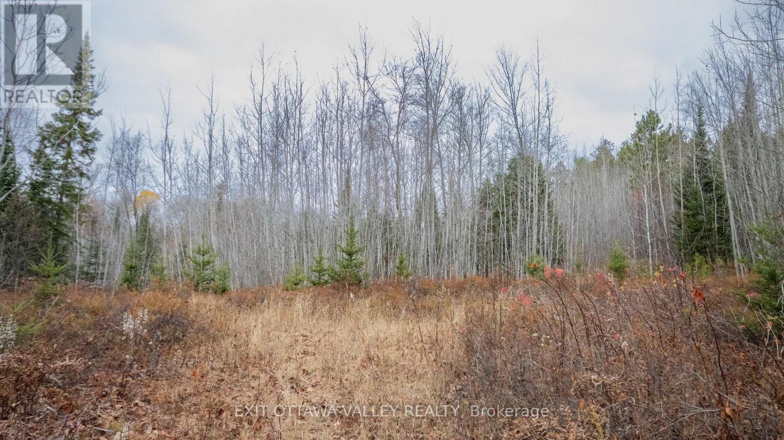 00 Highway 60 Highway, Madawaska Valley, Ontario  K0J 1B0 - Photo 28 - X12501452