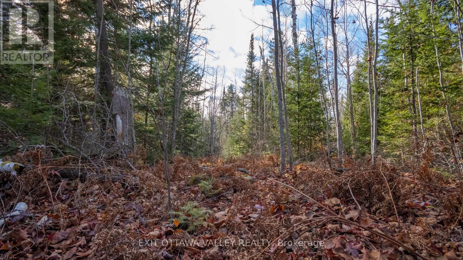 00 Highway 60 Highway, Madawaska Valley, Ontario  K0J 1B0 - Photo 3 - X12501452