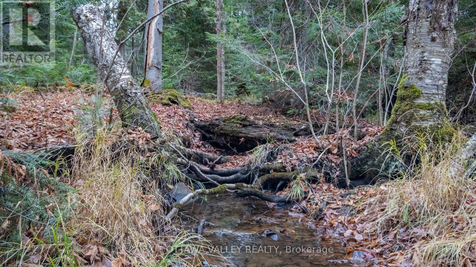 00 Highway 60 Highway, Madawaska Valley, Ontario  K0J 1B0 - Photo 5 - X12501452
