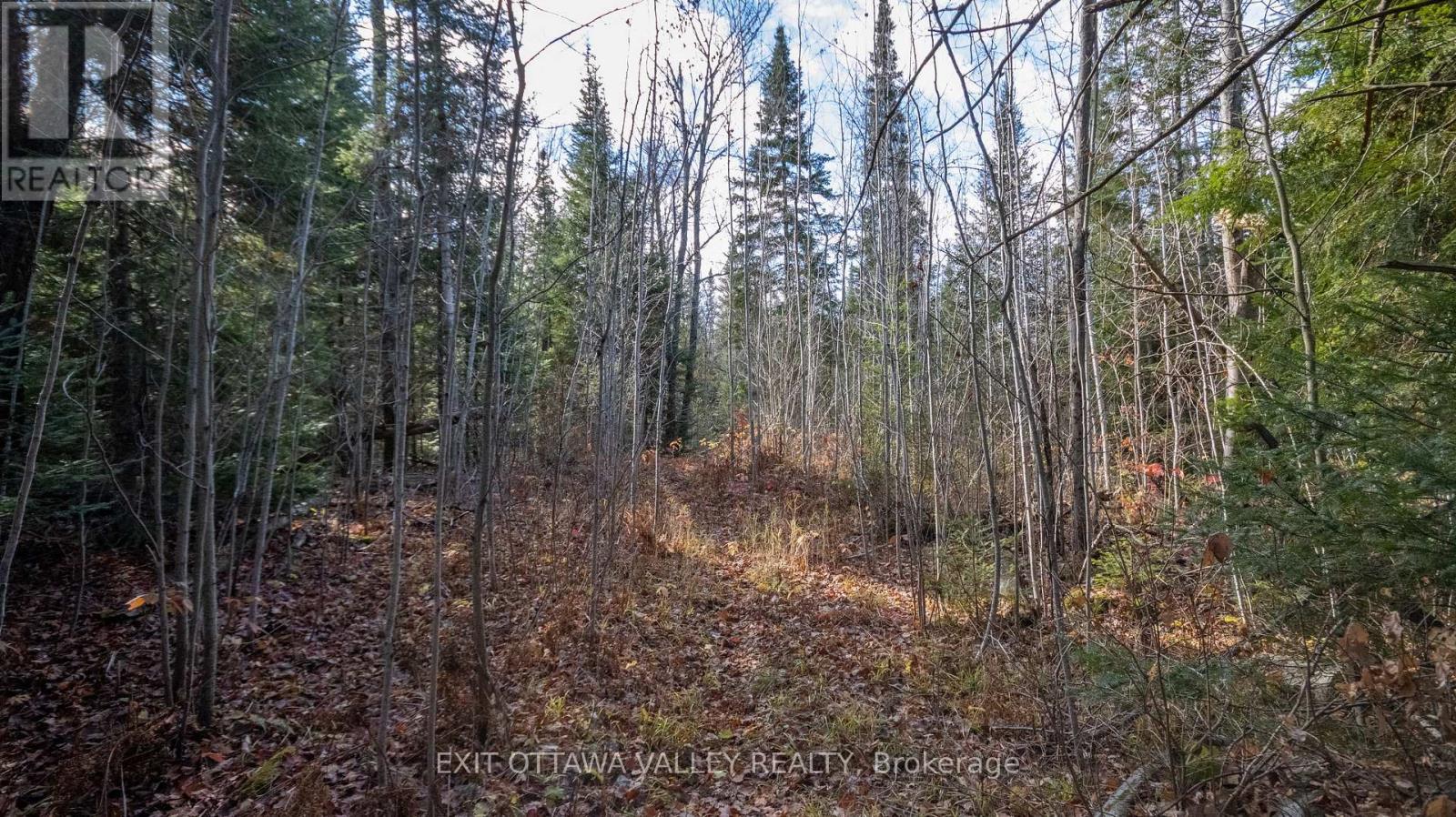 00 Highway 60 Highway, Madawaska Valley, Ontario  K0J 1B0 - Photo 7 - X12501452