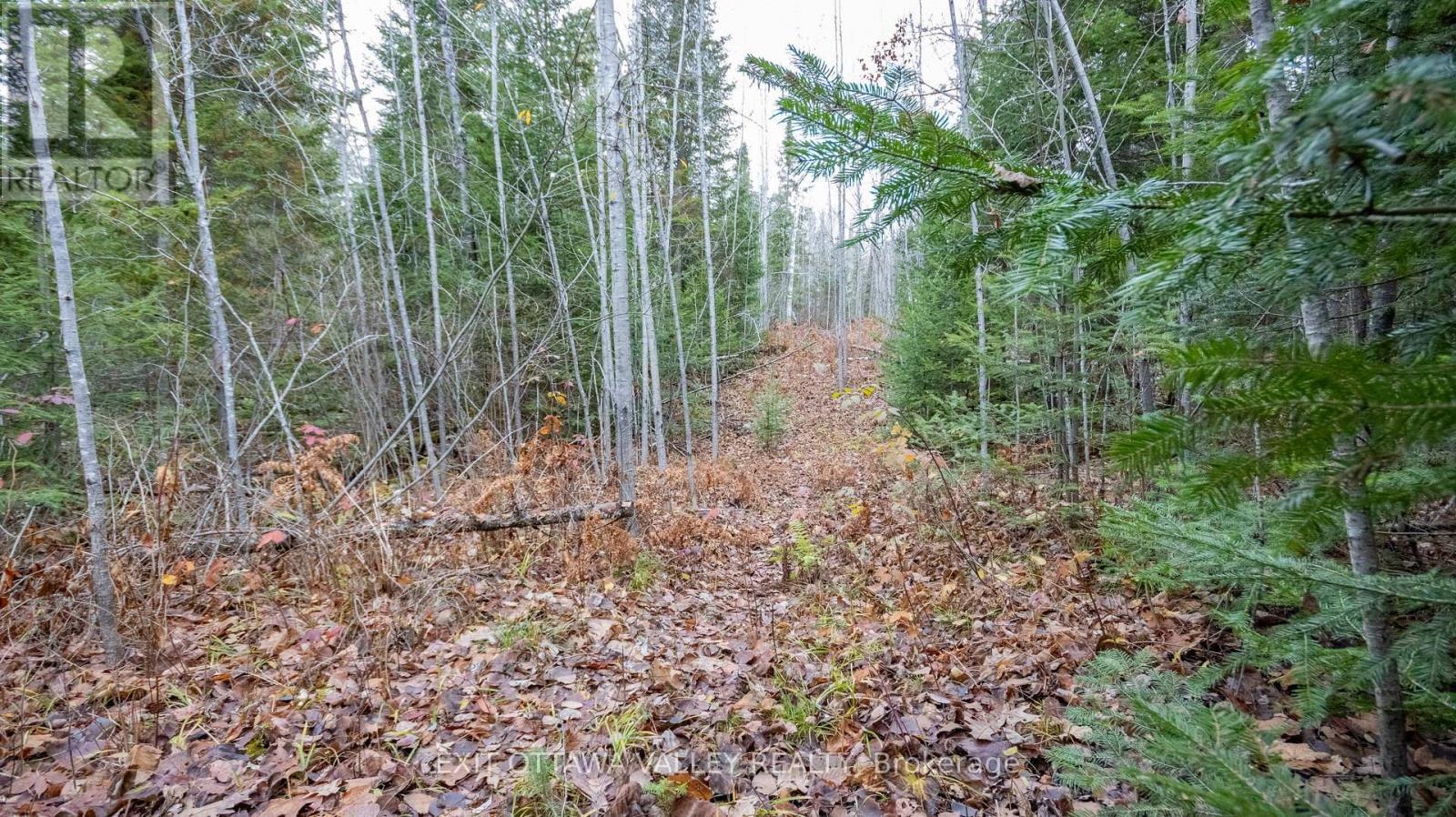 00 Highway 60 Highway, Madawaska Valley, Ontario  K0J 1B0 - Photo 8 - X12501452