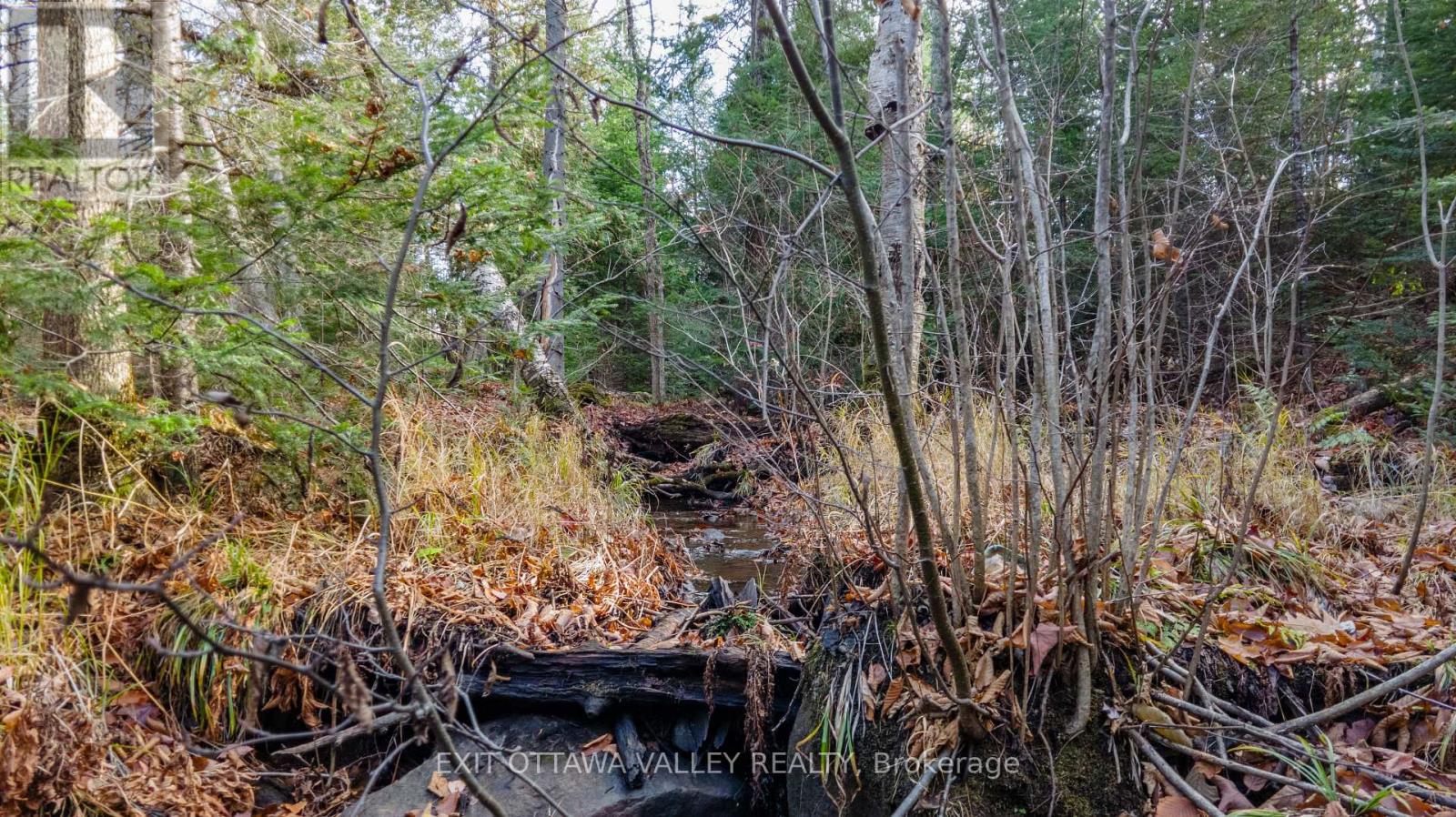 00 Highway 60 Highway, Madawaska Valley, Ontario  K0J 1B0 - Photo 9 - X12501452