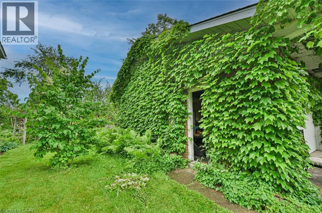 46 Birchcliff Avenue, Kitchener, Ontario  N2M 4V6 - Photo 2 - 40783972