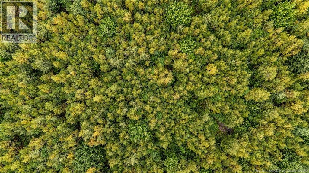 7560 Route 515, Saint-Paul, New Brunswick  E4T 3W5 - Photo 10 - NB129485