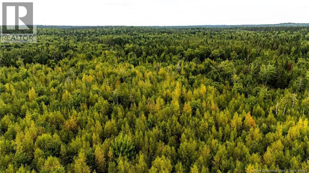 7560 Route 515, Saint-Paul, New Brunswick  E4T 3W5 - Photo 11 - NB129485