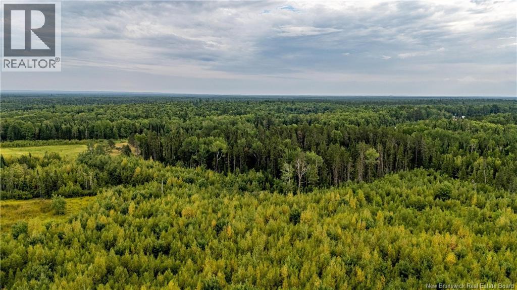 7560 Route 515, Saint-Paul, New Brunswick  E4T 3W5 - Photo 13 - NB129485