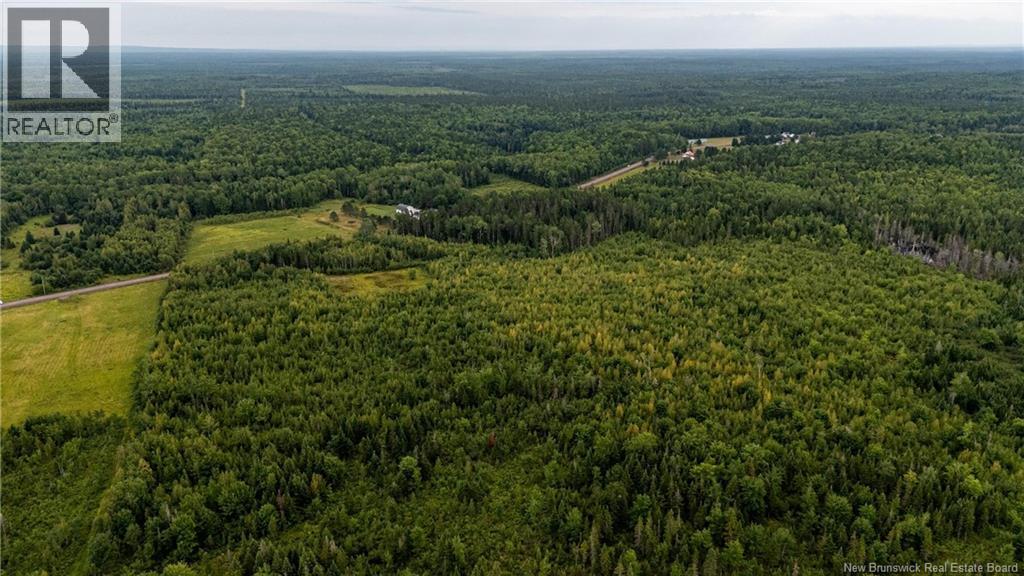 7560 Route 515, Saint-Paul, New Brunswick  E4T 3W5 - Photo 18 - NB129485