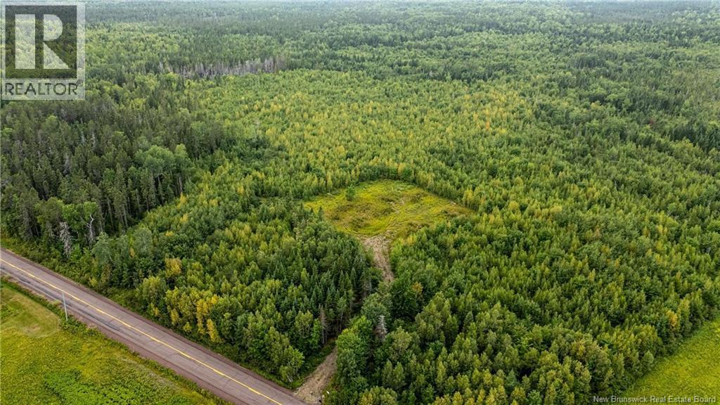 7560 Route 515, Saint-Paul, New Brunswick  E4T 3W5 - Photo 20 - NB129485