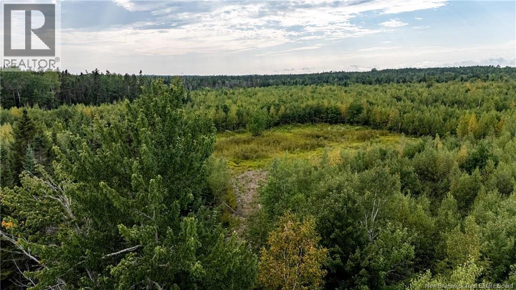 7560 Route 515, Saint-Paul, New Brunswick  E4T 3W5 - Photo 3 - NB129485