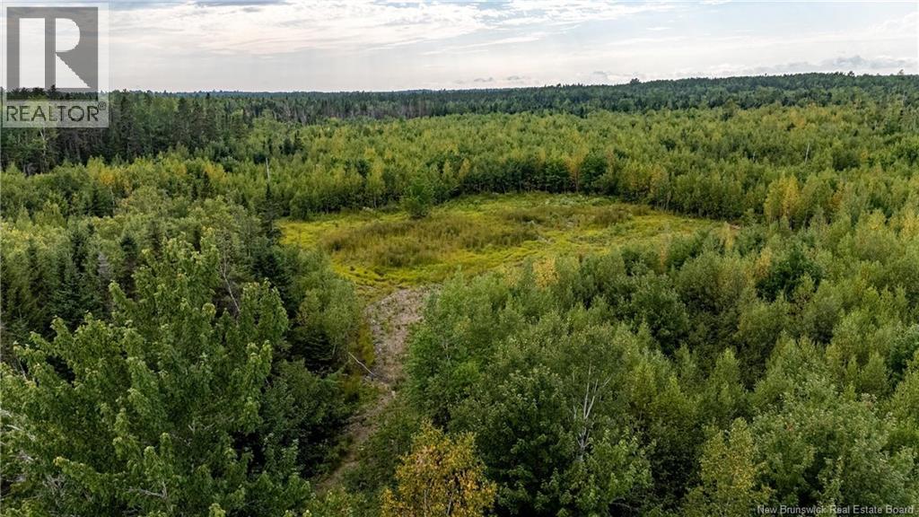 7560 Route 515, Saint-Paul, New Brunswick  E4T 3W5 - Photo 4 - NB129485