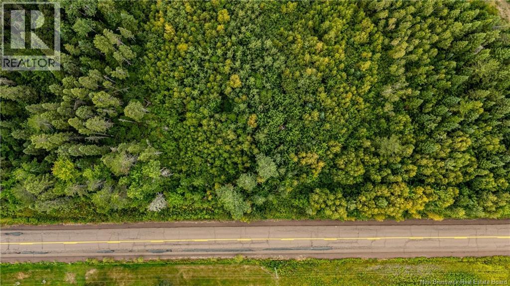 7560 Route 515, Saint-Paul, New Brunswick  E4T 3W5 - Photo 8 - NB129485