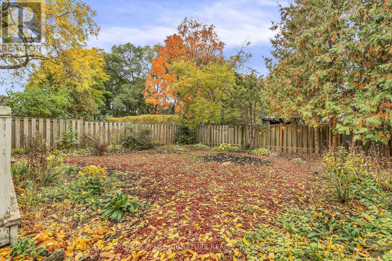 6 Armour Boulevard, Toronto, Ontario  M5M 3C1 - Photo 37 - C12501438