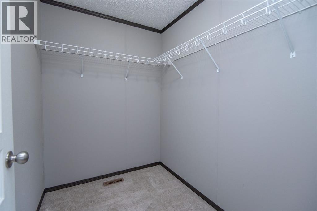 125 Birch Place, Benalto, Alberta  T0M 0H0 - Photo 20 - A2268314