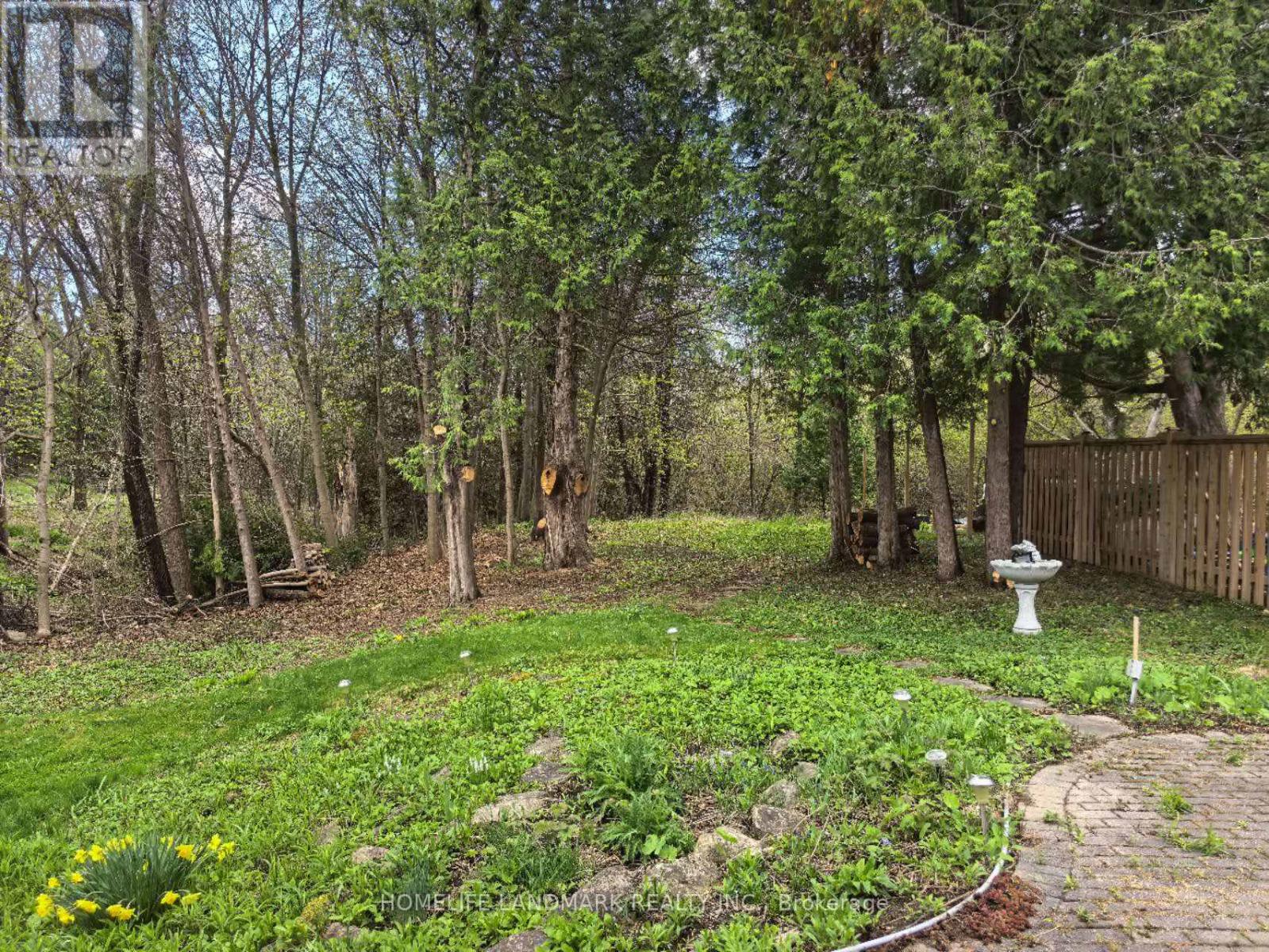 11 Drakefield Road, Markham, Ontario  L3P 1G6 - Photo 13 - N12501402