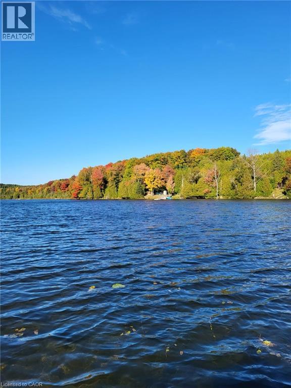 133596 Wilcox Lake Road, Flesherton, Ontario  N0C 1E0 - Photo 47 - 40766544