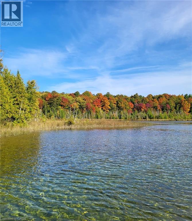 133596 Wilcox Lake Road, Flesherton, Ontario  N0C 1E0 - Photo 48 - 40766544