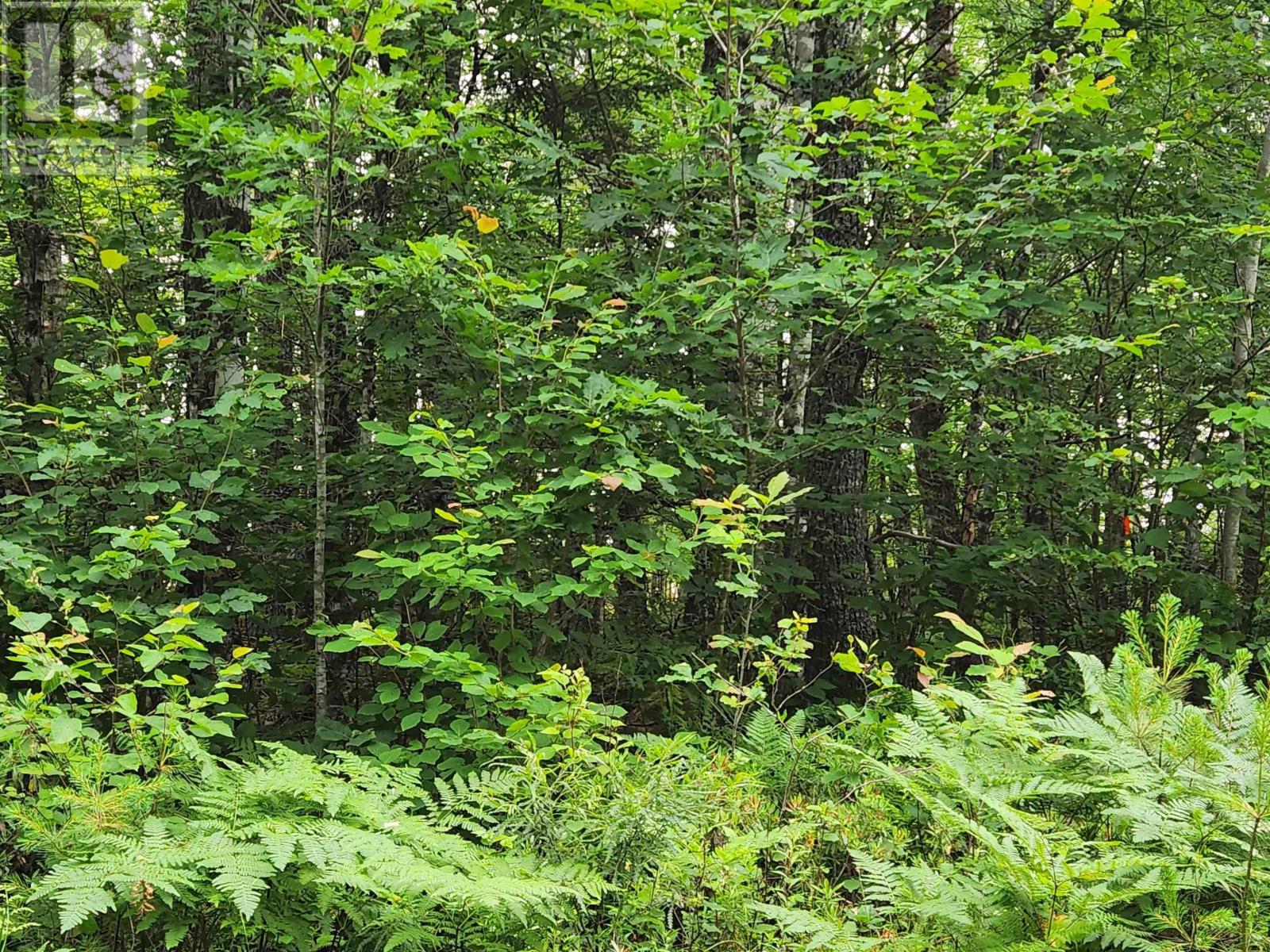 Lot 73 Baker Point Road, Molega, Nova Scotia  B0T 1X0 - Photo 6 - 202505825