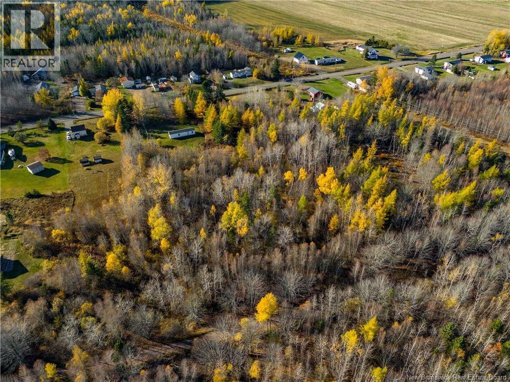 Lot Highway 132 Route, Scoudouc Road, New Brunswick  E4P 3S3 - Photo 16 - NB128687
