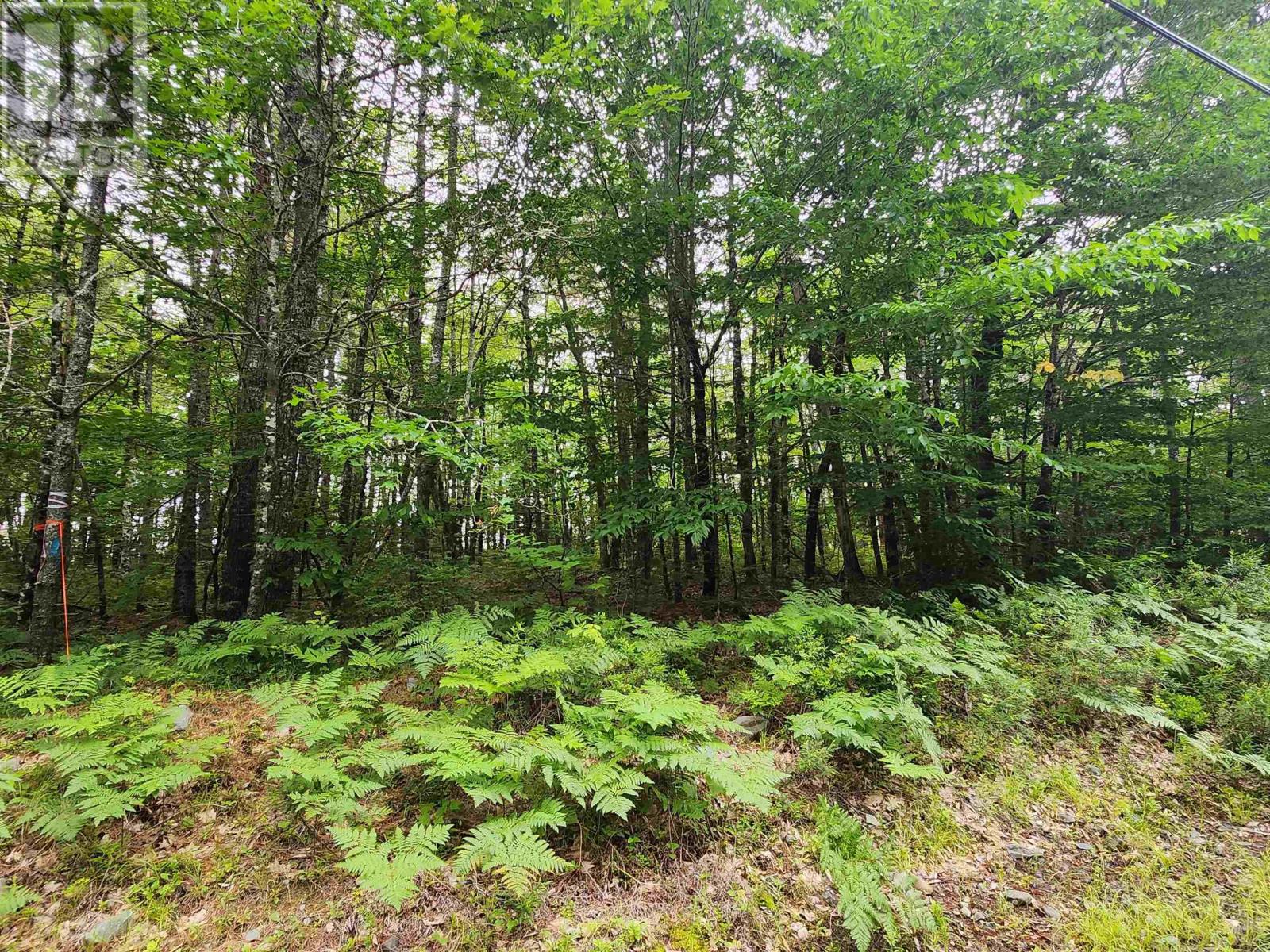 Lot 73 Baker Point Road, Molega, Nova Scotia  B0T 1X0 - Photo 4 - 202505825