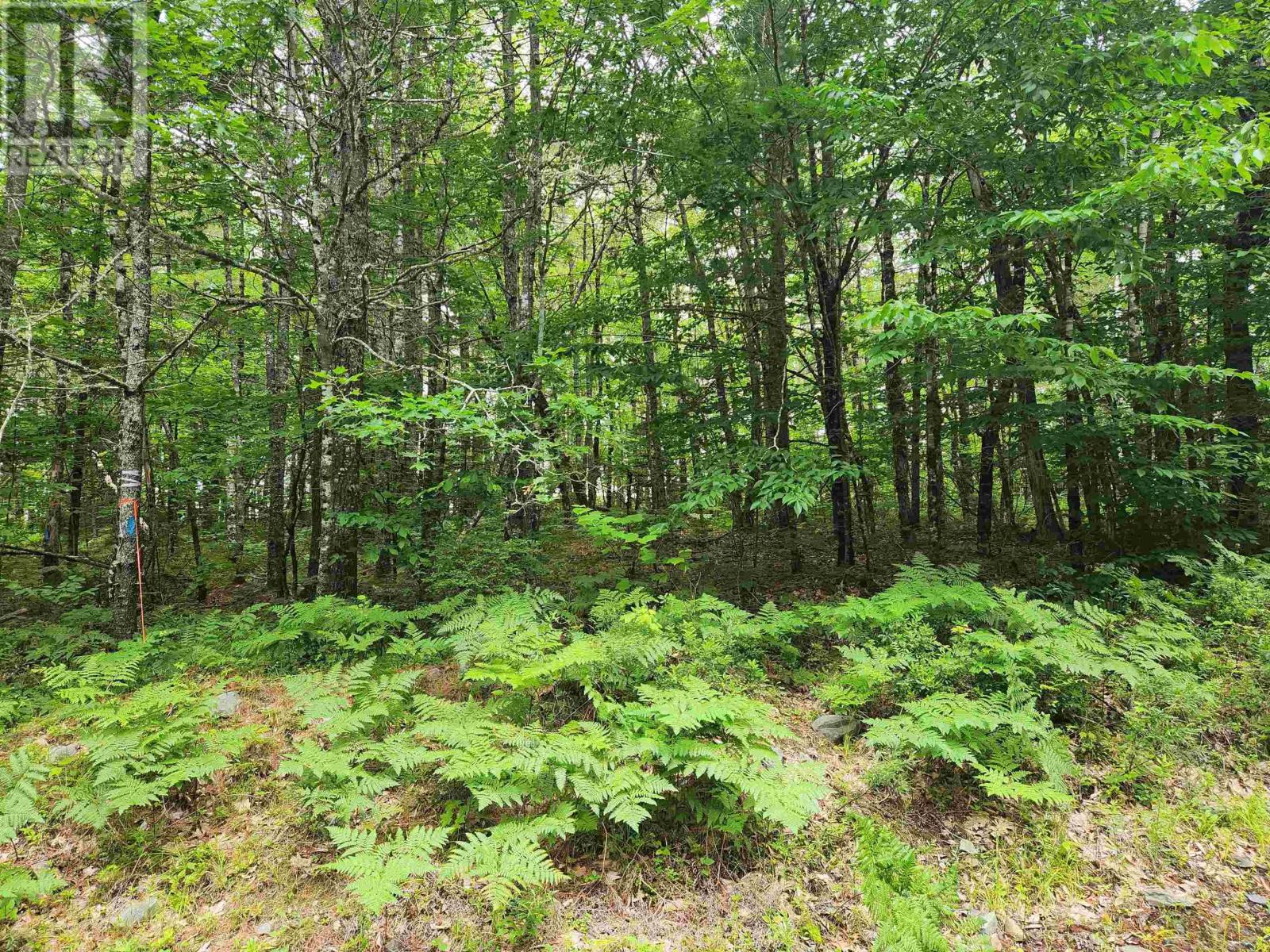Lot 73 Baker Point Road, Molega, Nova Scotia  B0T 1X0 - Photo 7 - 202505825