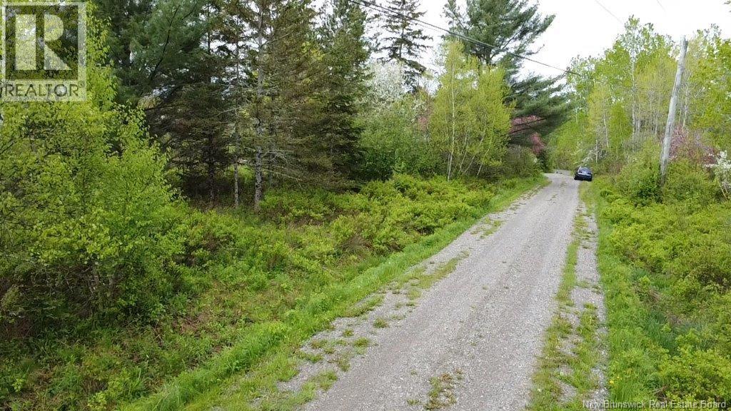 196 Ledge Road, Dufferin, New Brunswick  E3L 3P2 - Photo 10 - NB129455