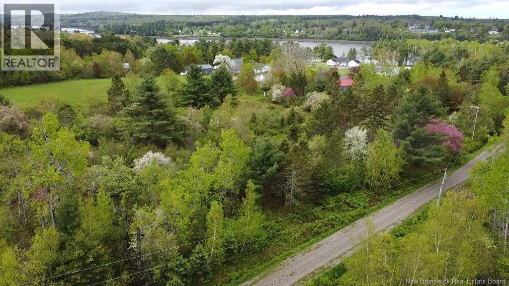 196 Ledge Road, Dufferin, New Brunswick  E3L 3P2 - Photo 1 - NB129455