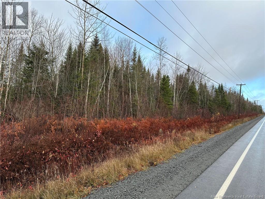 Lot 3 Route 8, Mcgivney, New Brunswick  E6C 1T7 - Photo 2 - NB129323