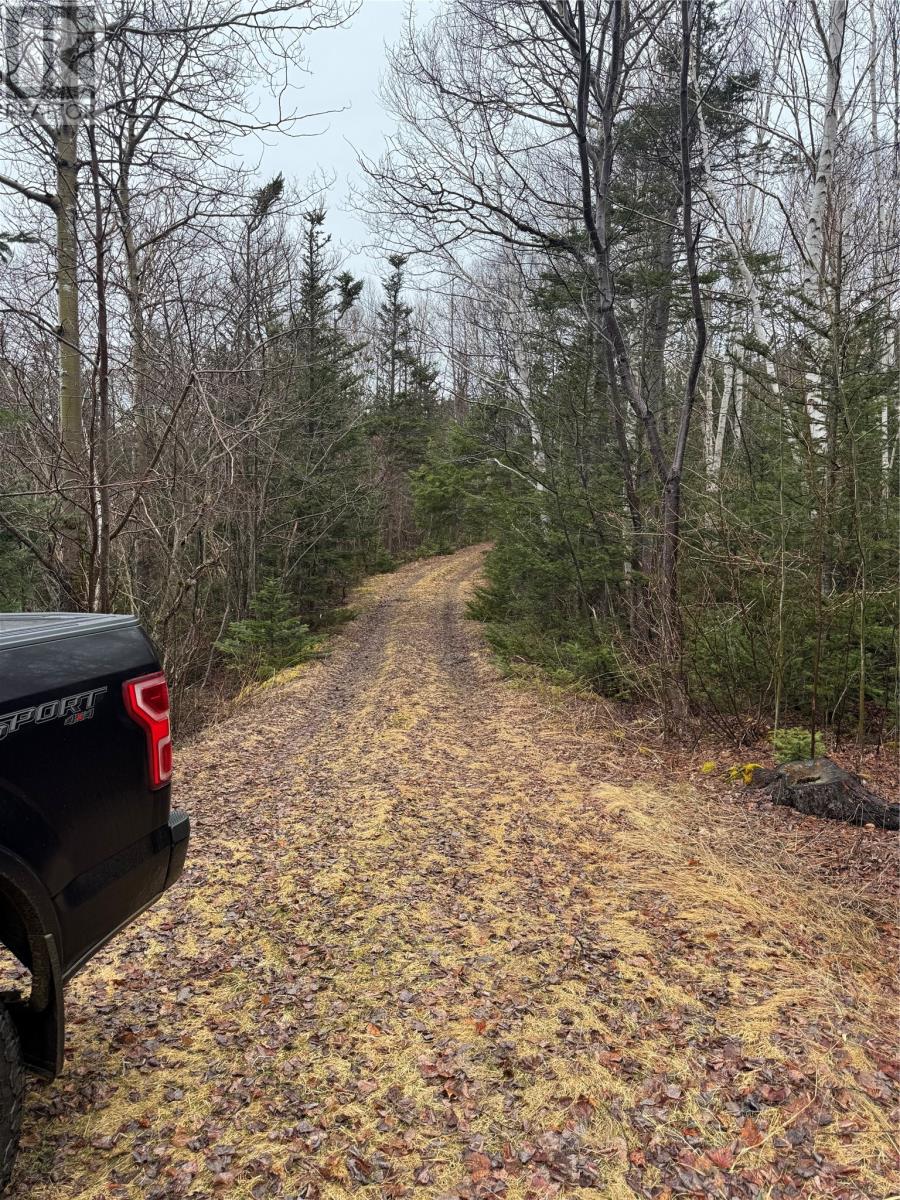 0 Goobies Road, Culls Harbour, Newfoundland & Labrador  A0G 3Y0 - Photo 2 - 1292215