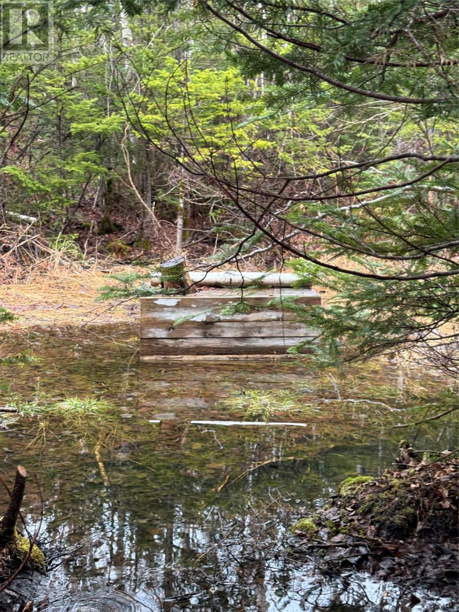 0 Goobies Road, Culls Harbour, Newfoundland & Labrador  A0G 3Y0 - Photo 6 - 1292215