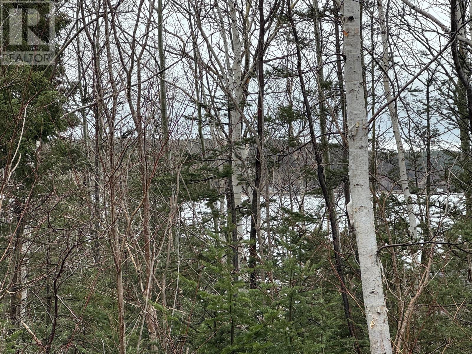 0 Goobies Road, Culls Harbour, Newfoundland & Labrador  A0G 3Y0 - Photo 7 - 1292215