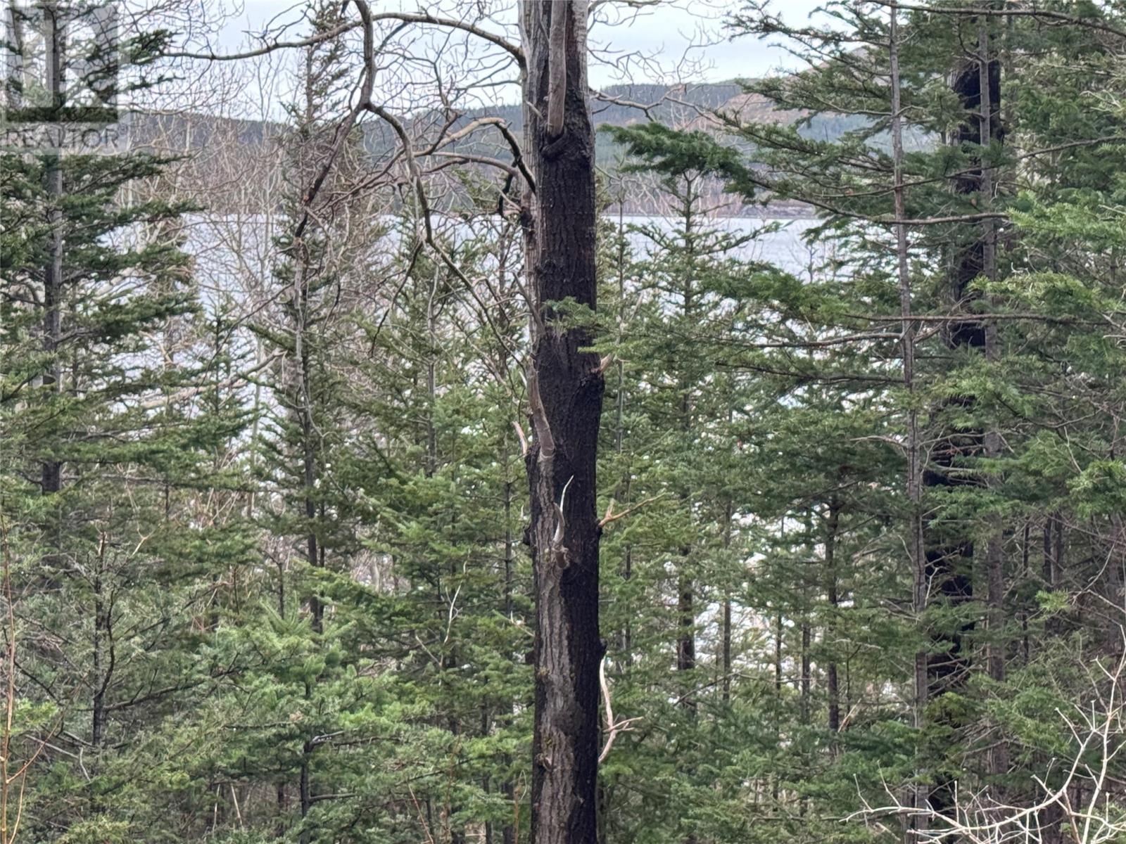 0 Goobies Road, Culls Harbour, Newfoundland & Labrador  A0G 3Y0 - Photo 8 - 1292215