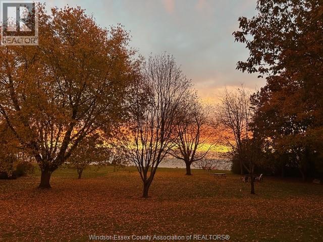 7136 Talbot Trail Unit# Lower, Blenheim, Ontario  N0P 1A0 - Photo 37 - 25027766