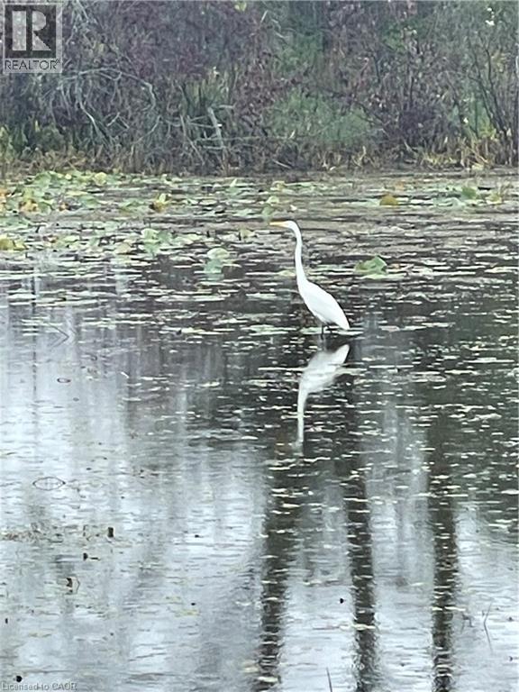 25 First Avenue, Long Point, Ontario  N0E 1M0 - Photo 33 - 40785002