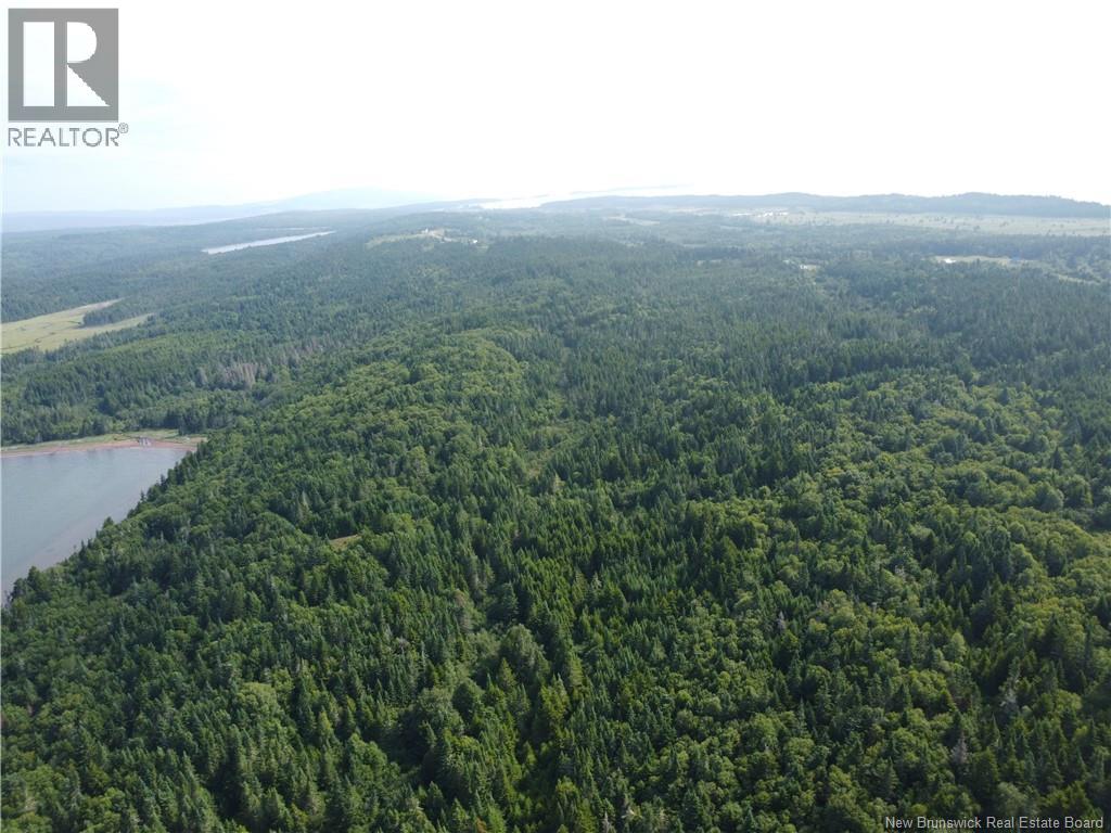 Lot Lockhart Lake, New Horton, New Brunswick  E4H 1W3 - Photo 25 - NB124293
