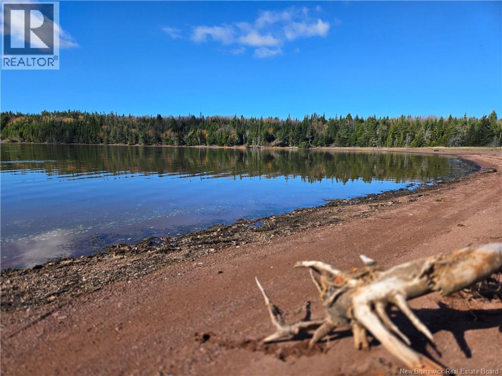 Lot Lockhart Lake, New Horton, New Brunswick  E4H 1W3 - Photo 15 - NB124293