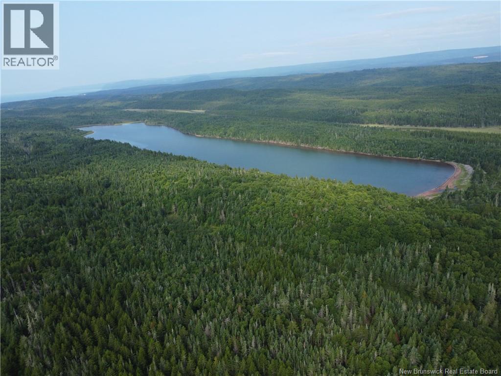 Lot Lockhart Lake, New Horton, New Brunswick  E4H 1W3 - Photo 23 - NB124293