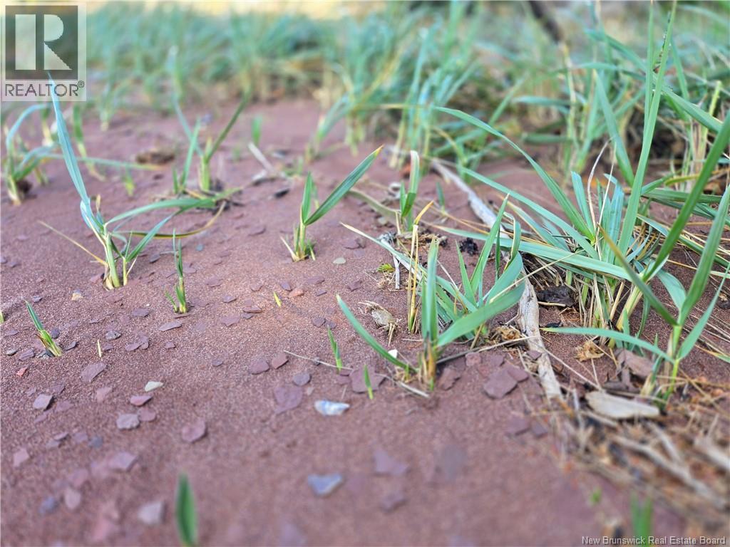Lot Lockhart Lake, New Horton, New Brunswick  E4H 1W3 - Photo 19 - NB124293