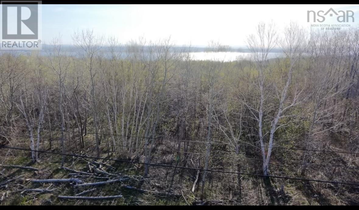 1 Cornishtown Road, Nova Scotia, Nova Scotia  B1N 3J9 - Photo 3 - 202511312