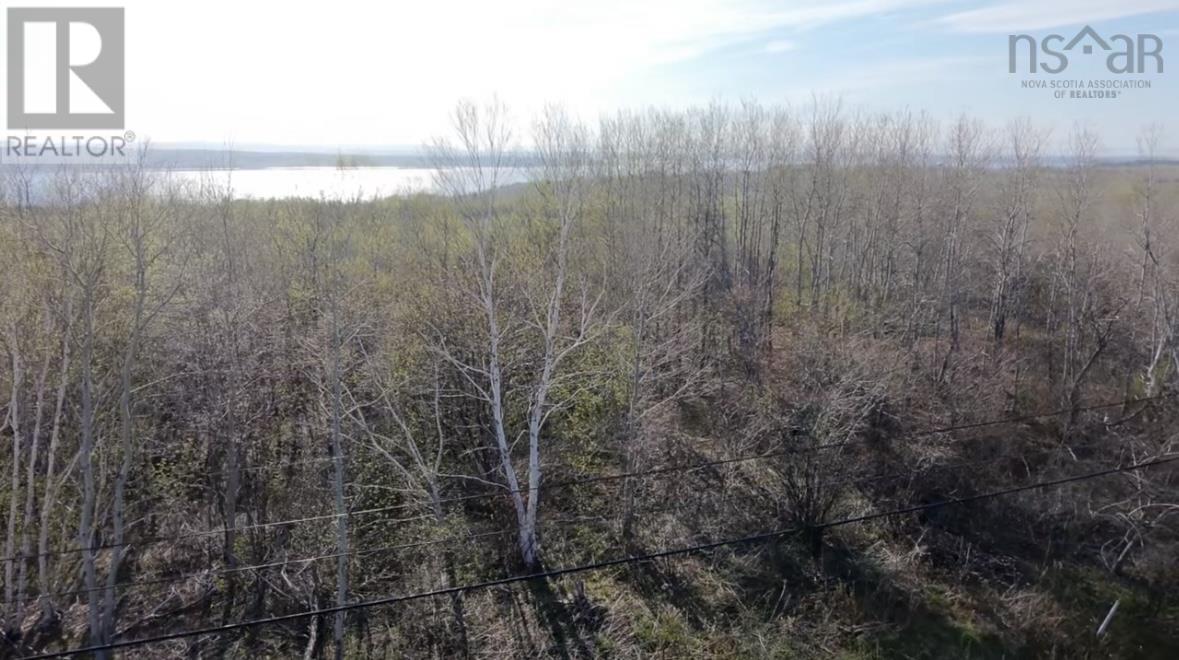 1 Cornishtown Road, Nova Scotia, Nova Scotia  B1N 3J9 - Photo 2 - 202511312