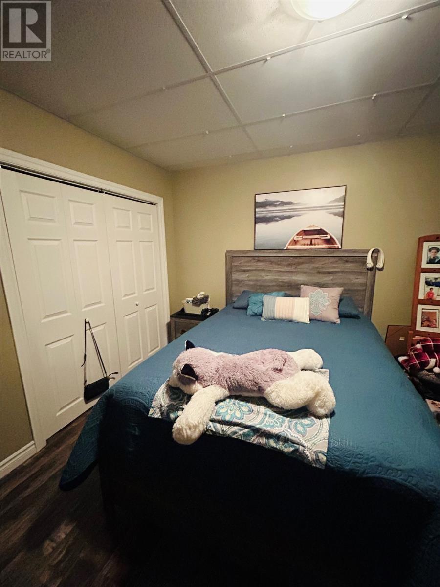 8 Station Road, Grand Falls-Windsor, Newfoundland & Labrador  A2A 1M5 - Photo 13 - 1292143