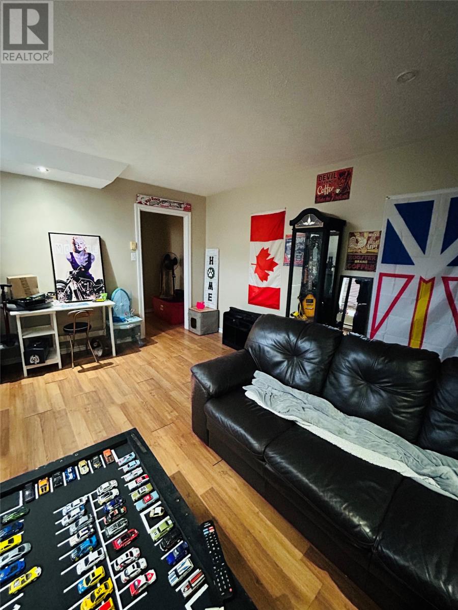 8 Station Road, Grand Falls-Windsor, Newfoundland & Labrador  A2A 1M5 - Photo 23 - 1292143